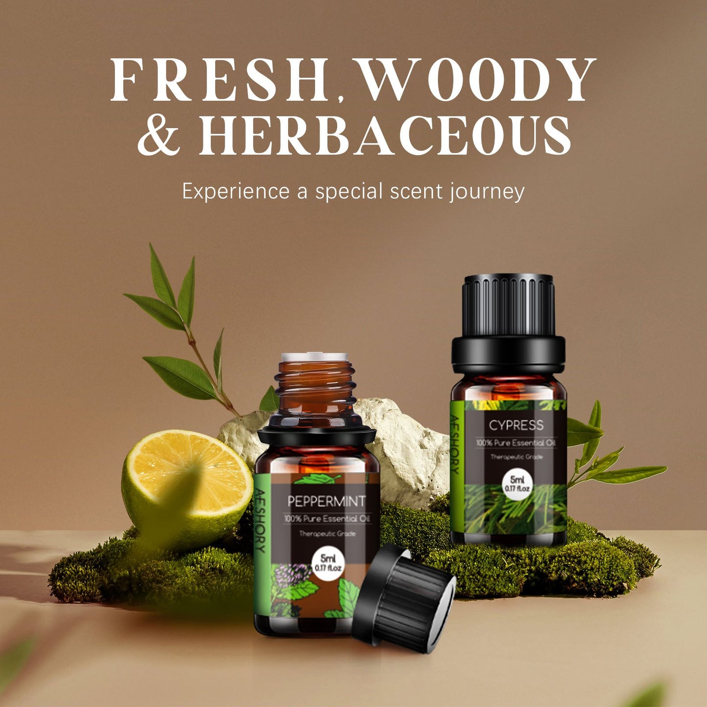 Woody & Herbal Essential Oils Set - TOP 14 Fragrance Oil for Diffusers