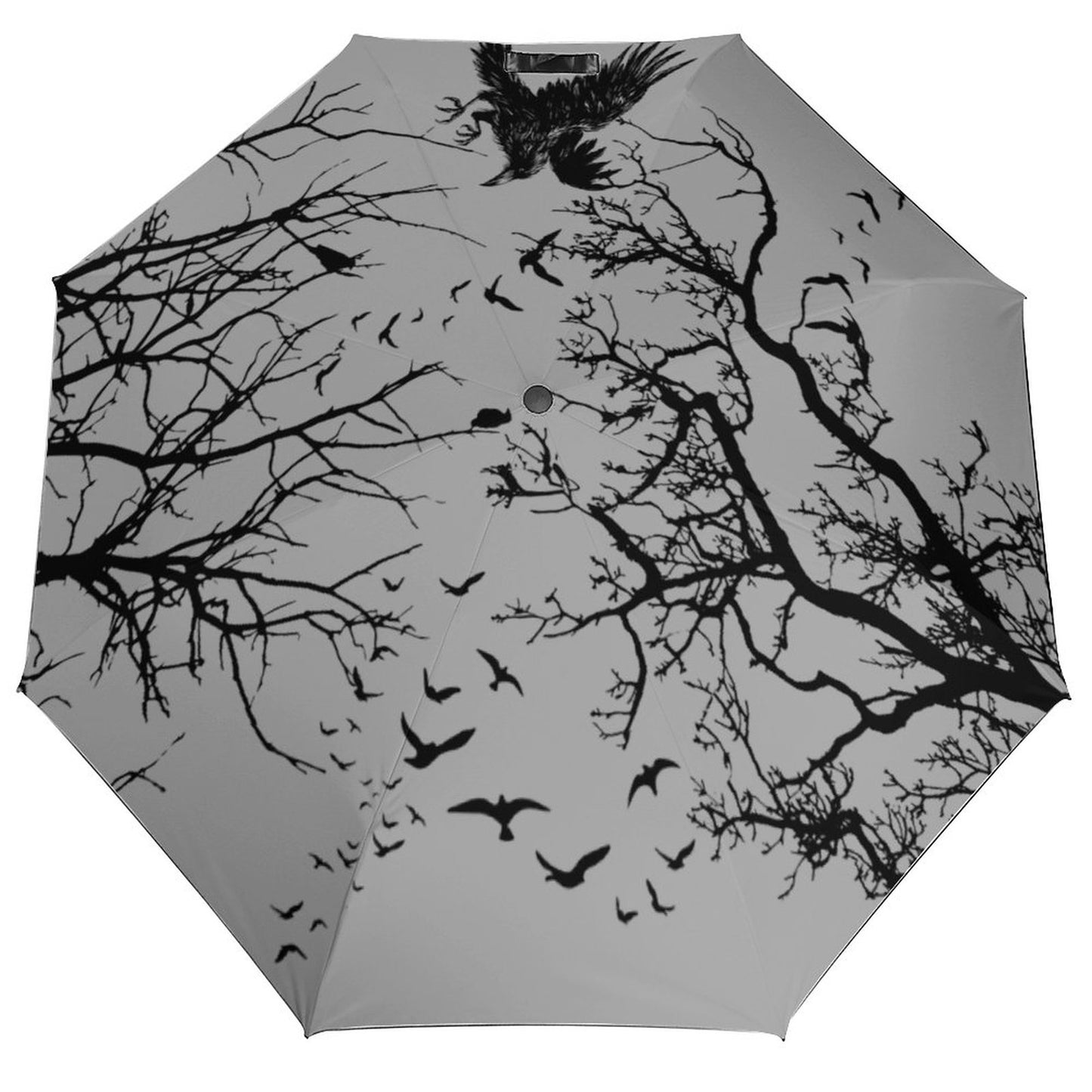 Mystic Crow Auto Umbrella with Printed Pattern Outside ZYS03-8K