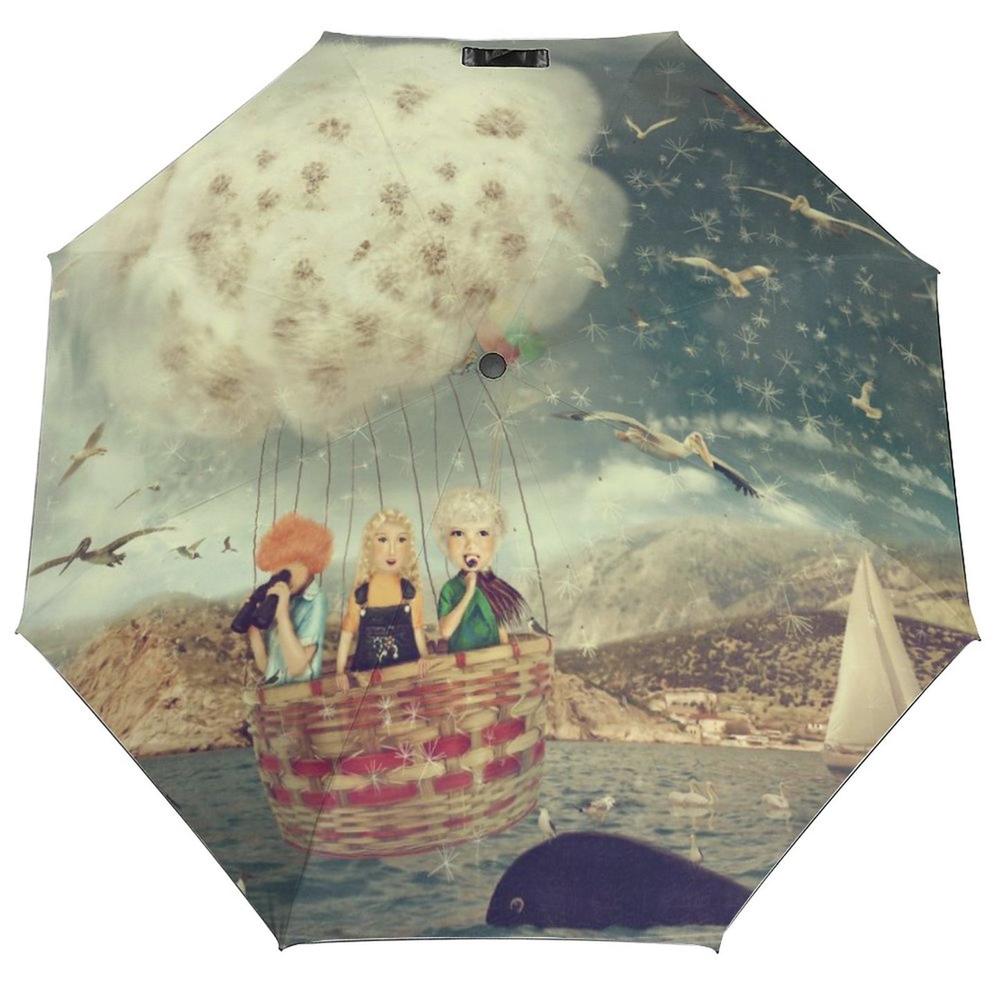 Whimsi ladies Auto Umbrella with Printed Pattern Outside ZYS03-8K
