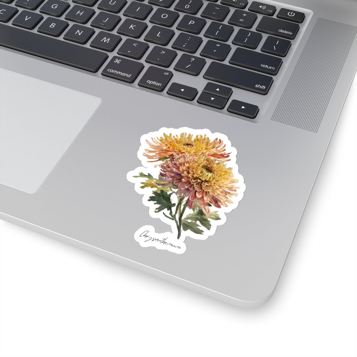 November Chrysanthemum Birth flower Flower Kiss-Cut Stickers