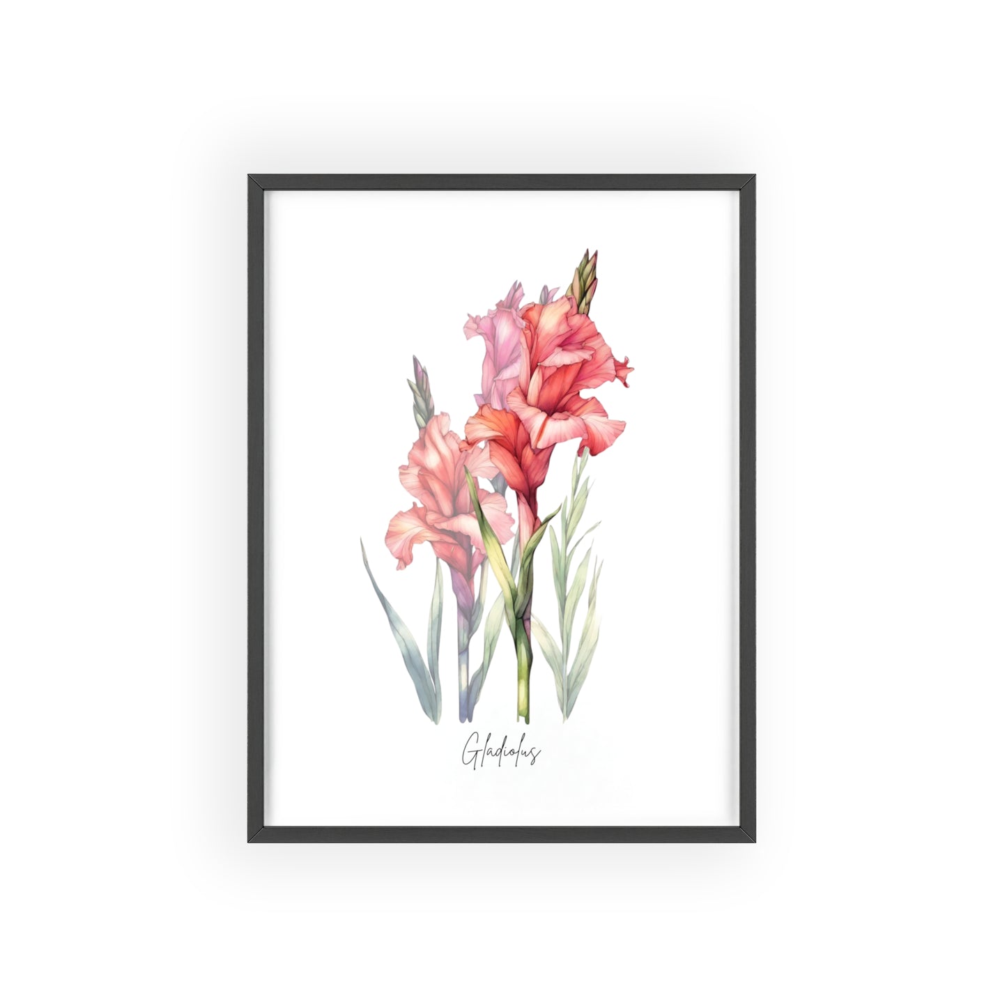 Gladiolus Birth Flower