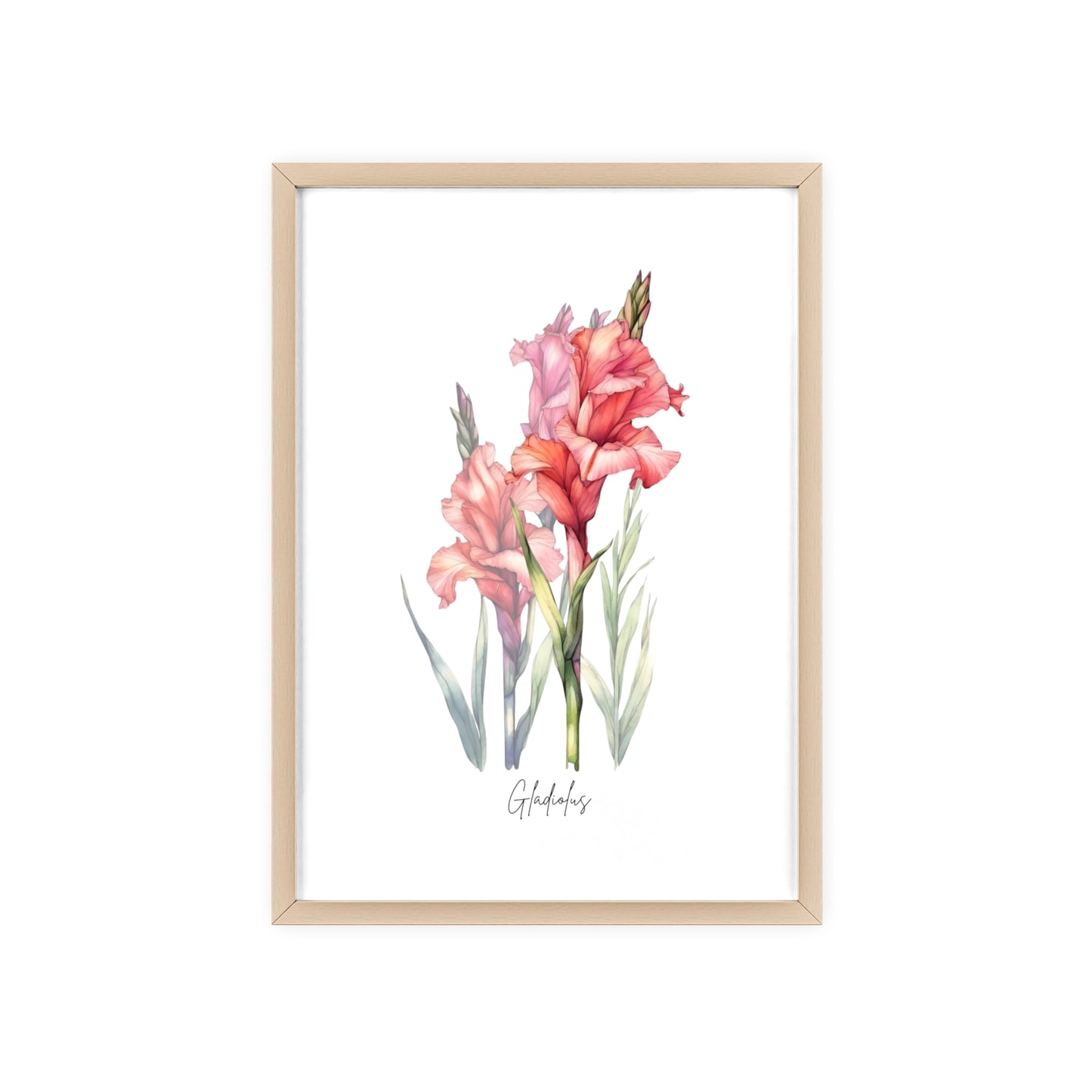 Gladiolus Birth Flower