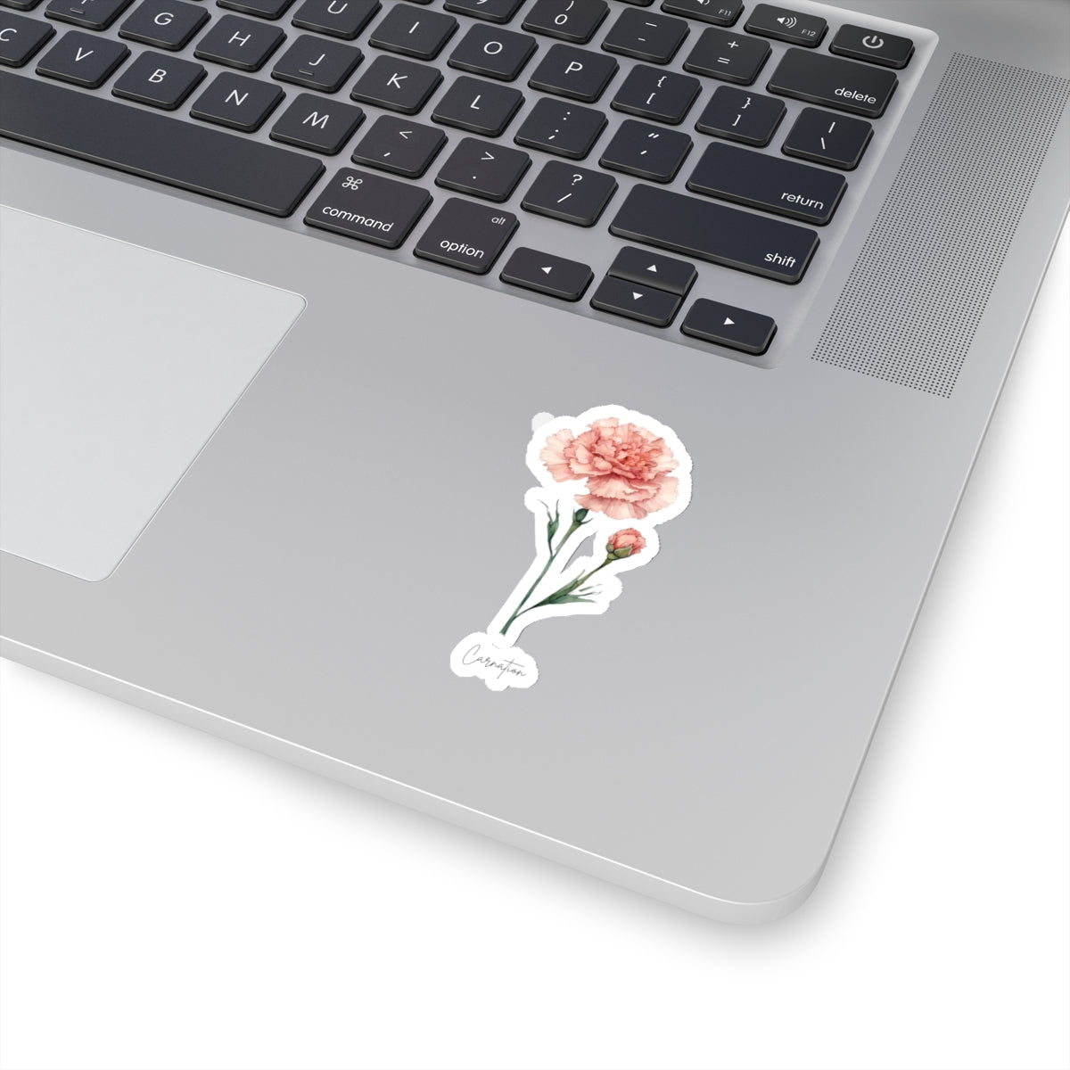 January Carnation Birth flower  Kiss-Cut Stickers