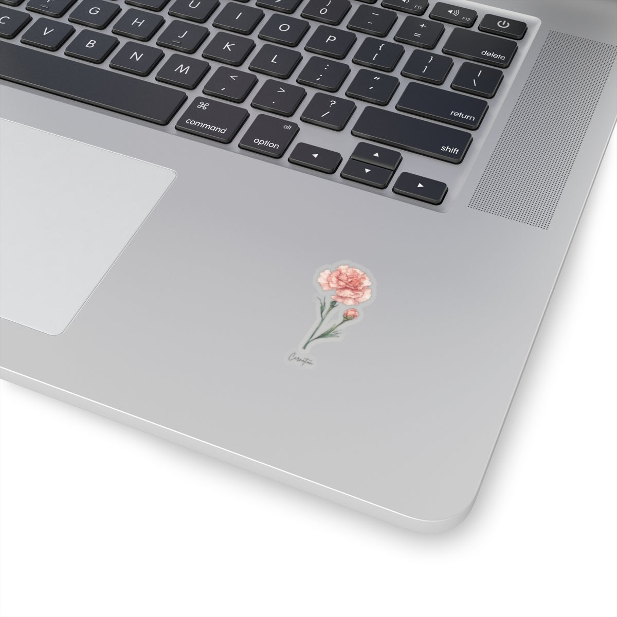 January Carnation Birth flower  Kiss-Cut Stickers