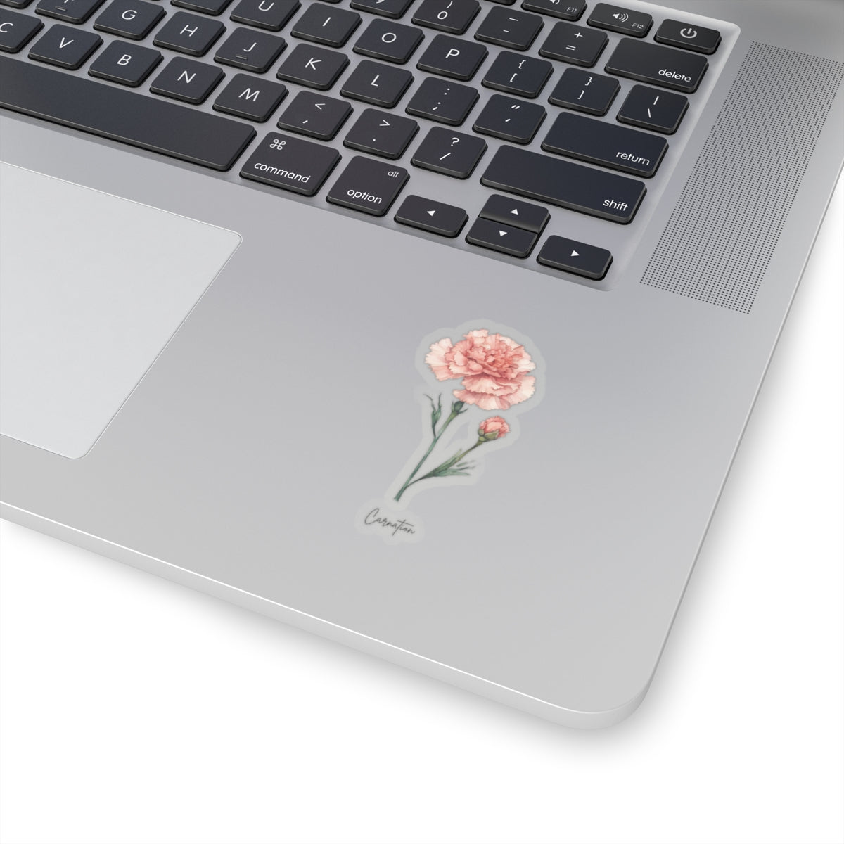 January Carnation Birth flower  Kiss-Cut Stickers