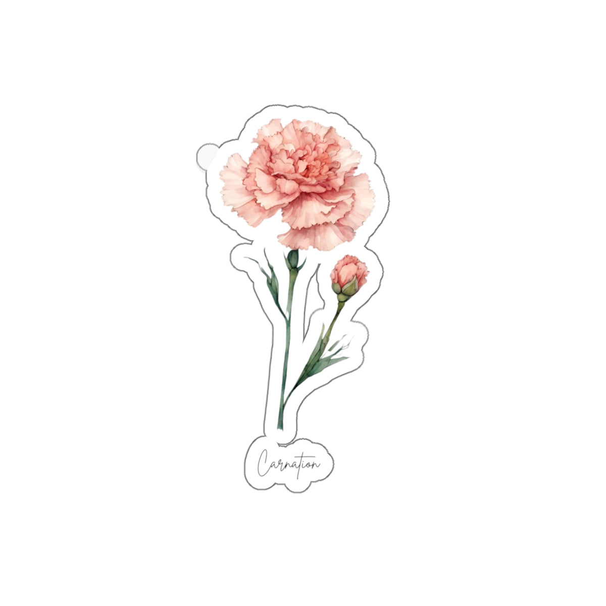 January Carnation Birth flower  Kiss-Cut Stickers