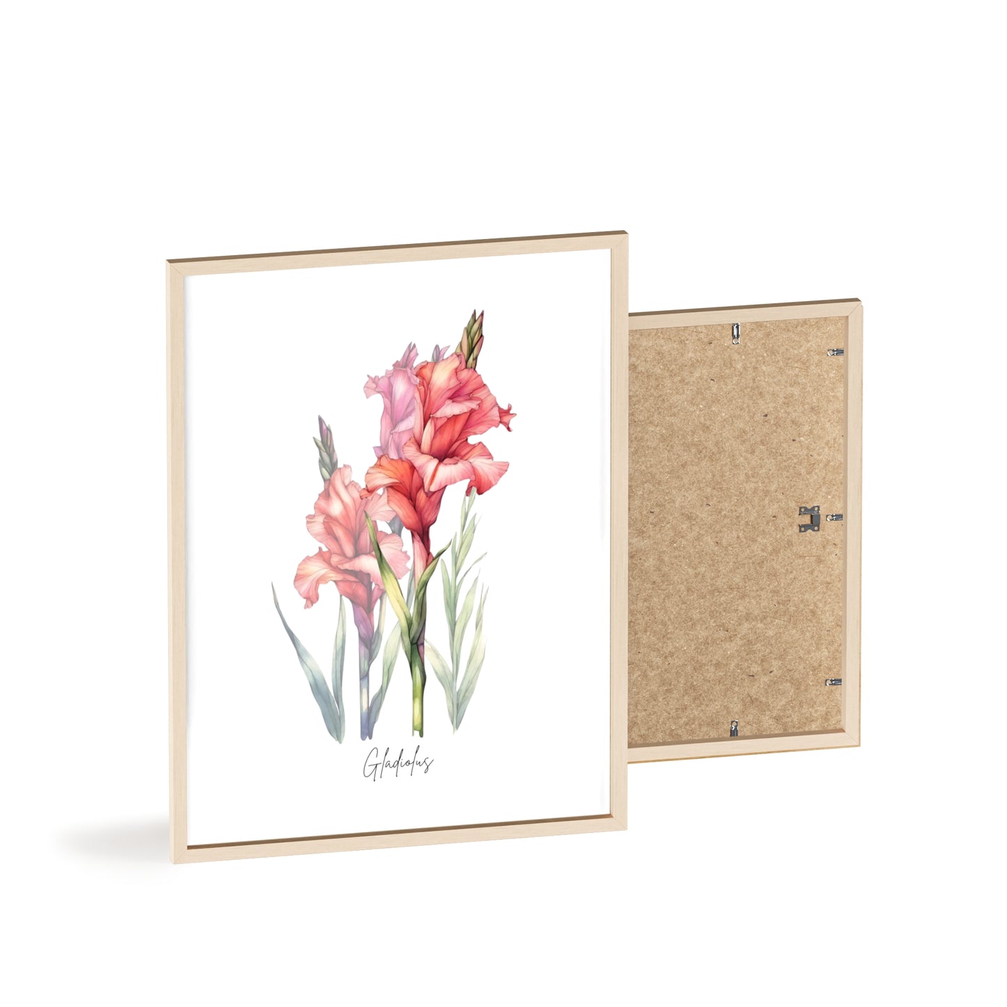 Gladiolus Birth Flower