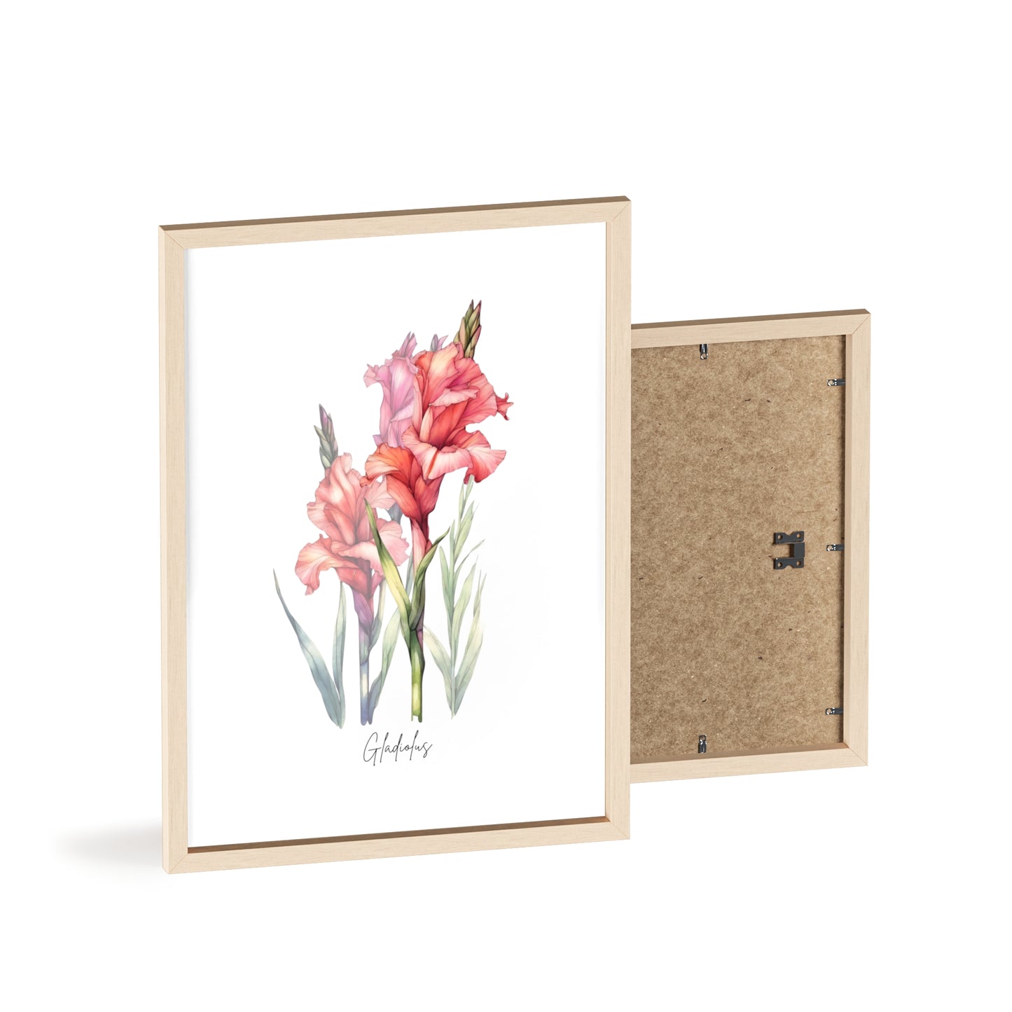 Gladiolus Birth Flower