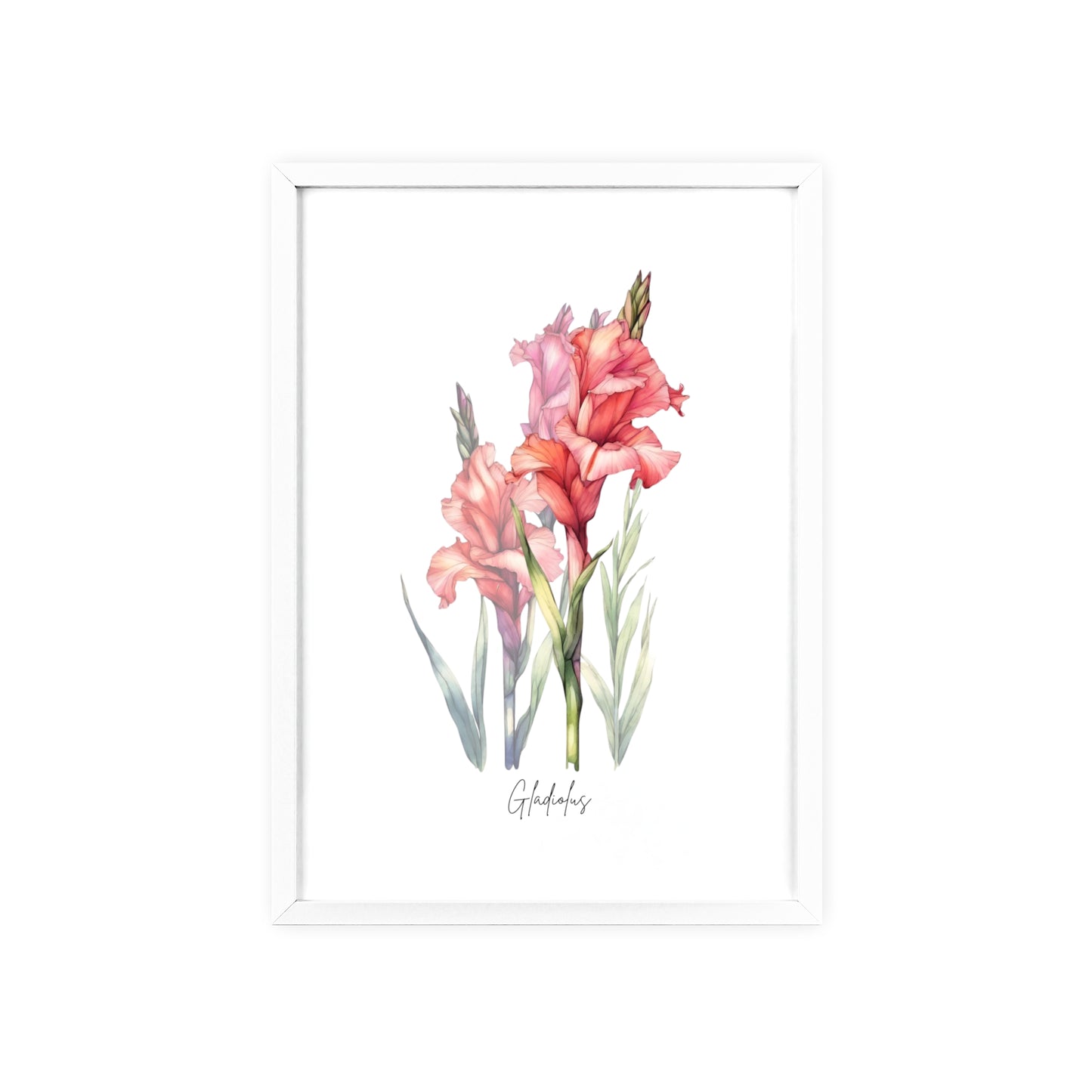 Gladiolus Birth Flower