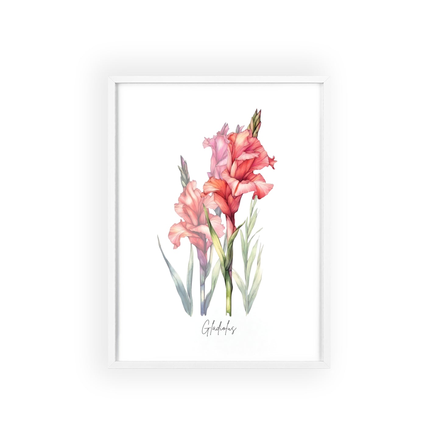 Gladiolus Birth Flower