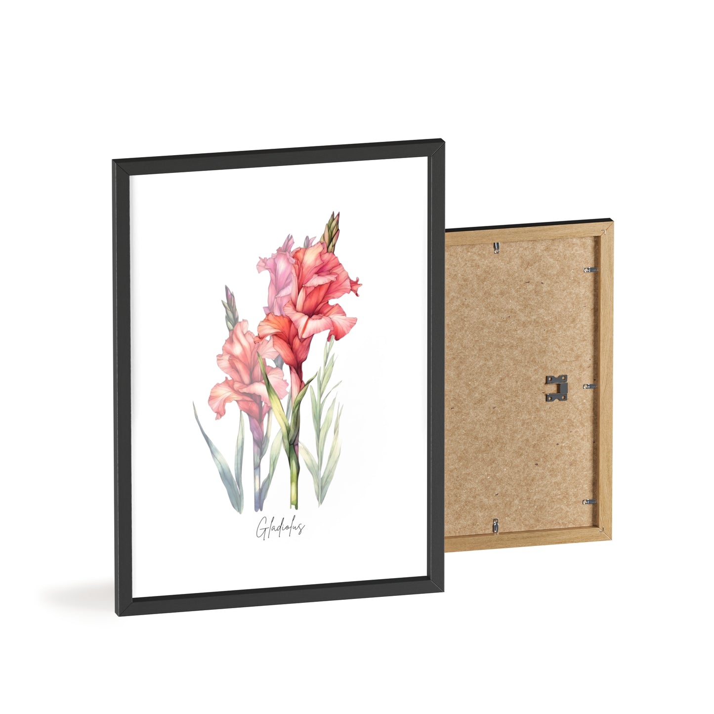 Gladiolus Birth Flower