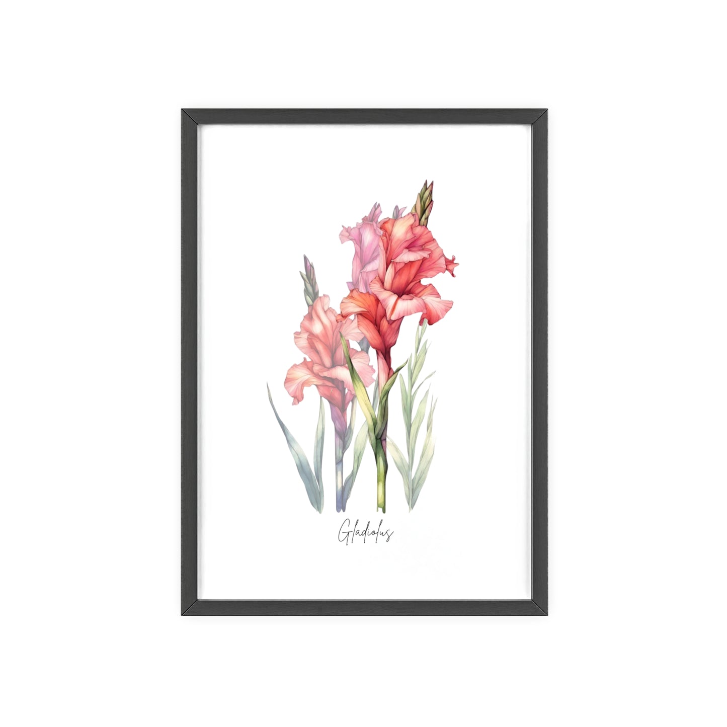 Gladiolus Birth Flower