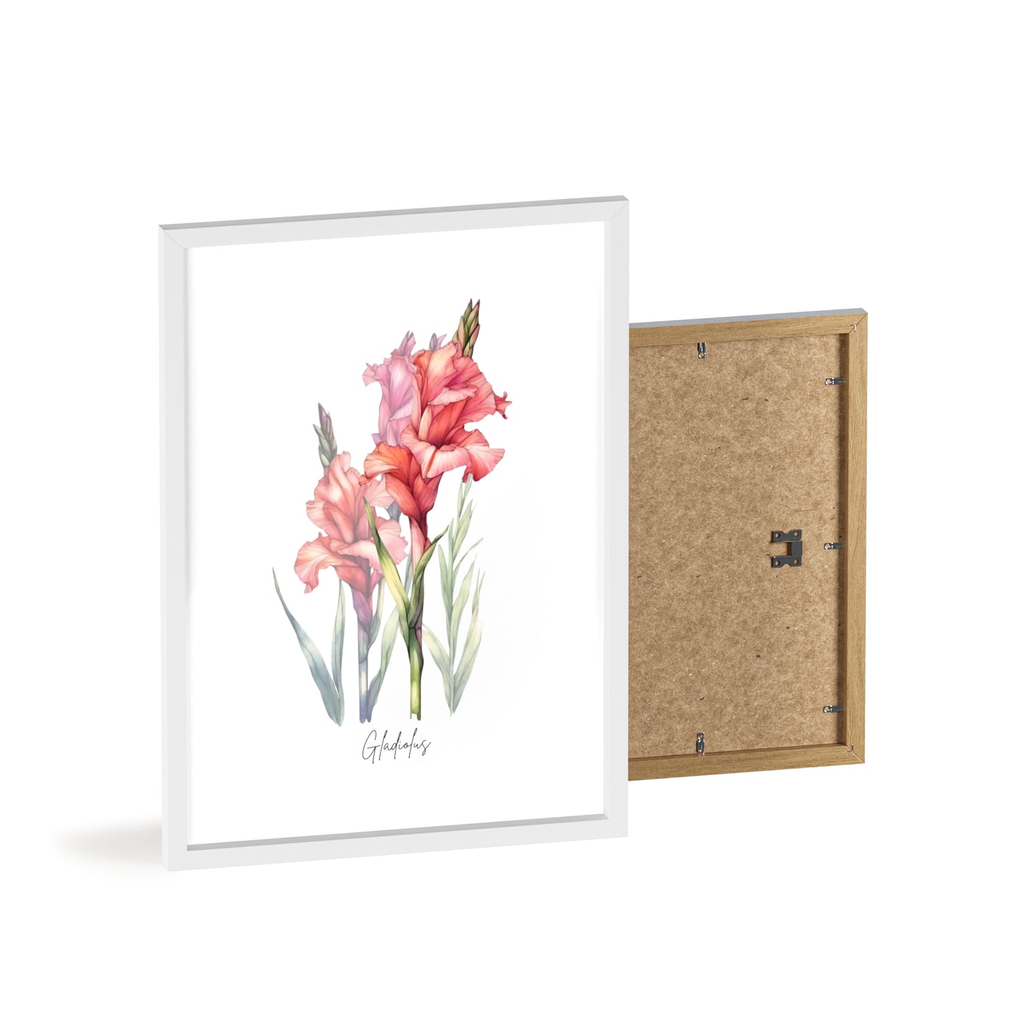 Gladiolus Birth Flower