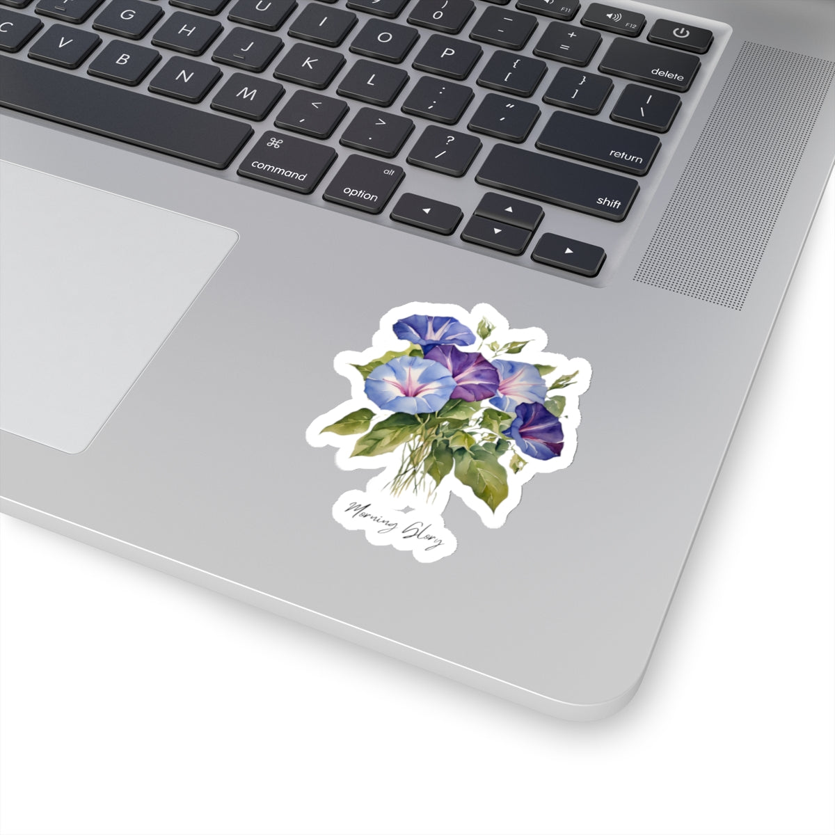 September Morning Glory Birth flower Kiss-Cut Stickers