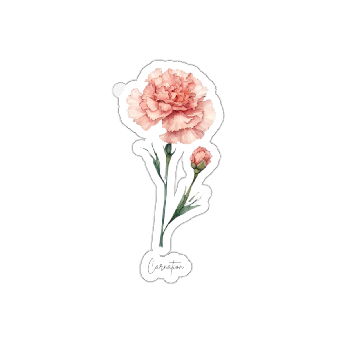 January Carnation Birth flower  Kiss-Cut Stickers