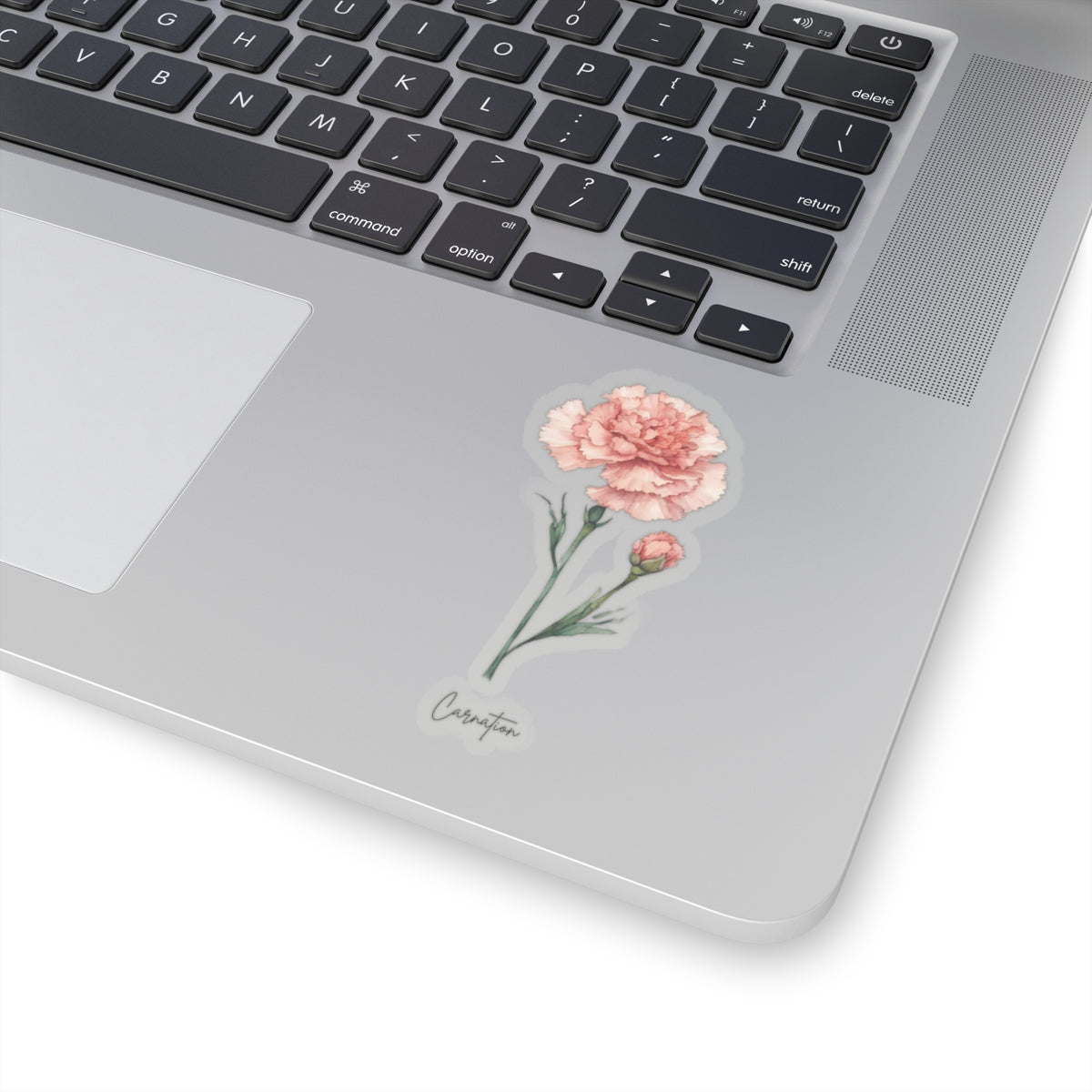 January Carnation Birth flower  Kiss-Cut Stickers