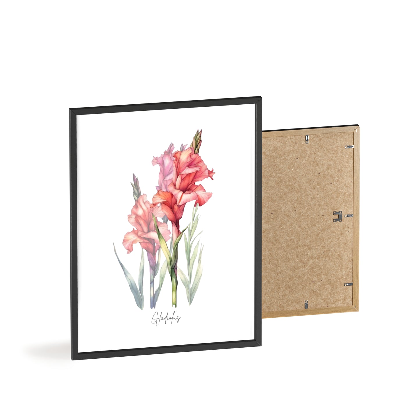 Gladiolus Birth Flower