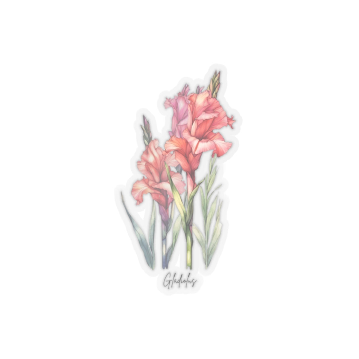 August Gladiolus Birth flower  Kiss-Cut Stickers